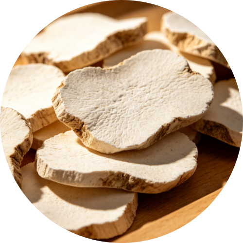Poria Cocos Slices - Nature's Treasured Fungus