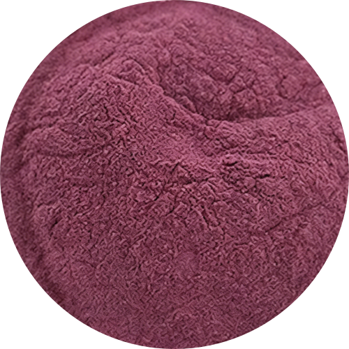 Blueberry Fruit Extract