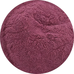 Blueberry Fruit Extract