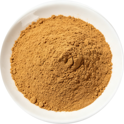 Acmella Oleracea Extract 10:1