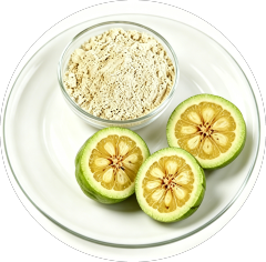 Garcina Cambogia Extract