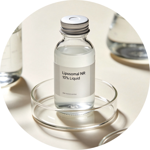 Liposomal NR 10% Liquid – Sunflower Lecithin + Phytosterols For NAD+ & Anti-Aging Manufacturers