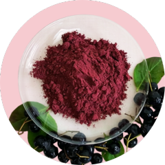 Aronia Powder