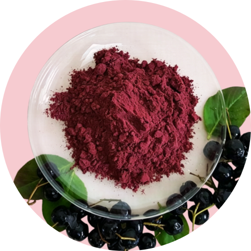 Aronia Powder