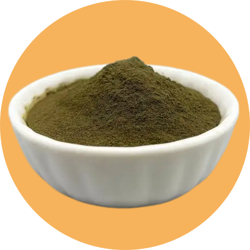 Liposomal Ferrous Glycinate 70% (Iron 14%) – High Bioavailability Liposomal Iron