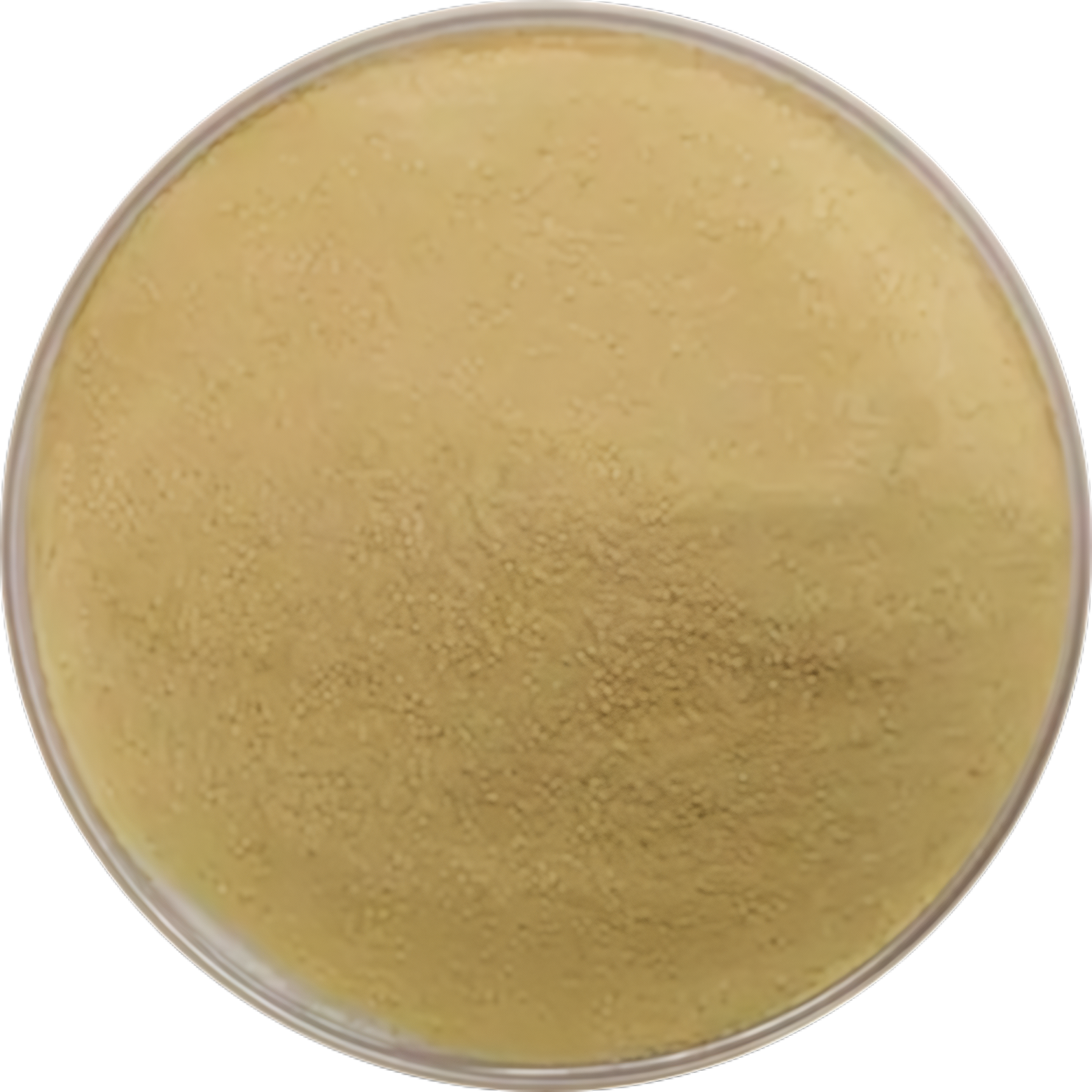 Ascorbic Acid 2-phosphate Mg (1713265-25-8)