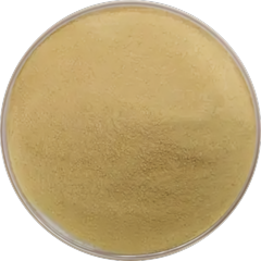 Ascorbic Acid 2-phosphate Mg (1713265-25-8)