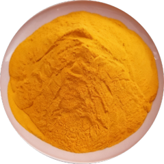 CO Q10 (Coenzyme Q10)