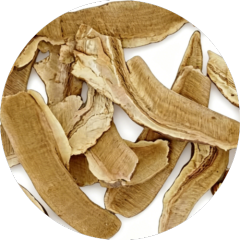 Chinese Yam (Dioscorea Opposita) - Nature's Nourishing Root