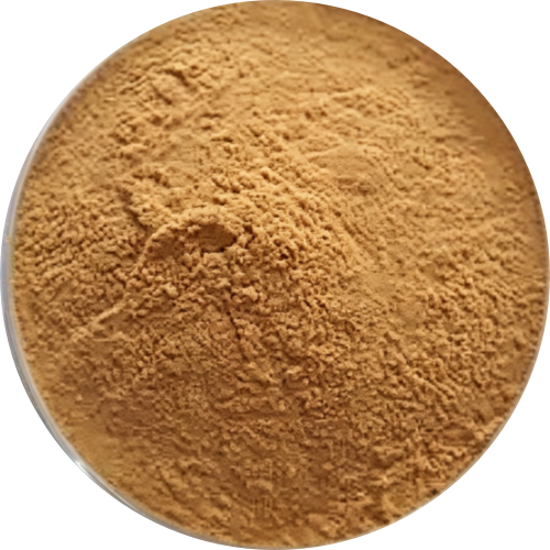 Dandelion Extract