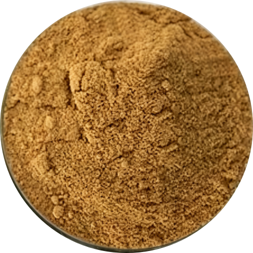 Echinacea Extract