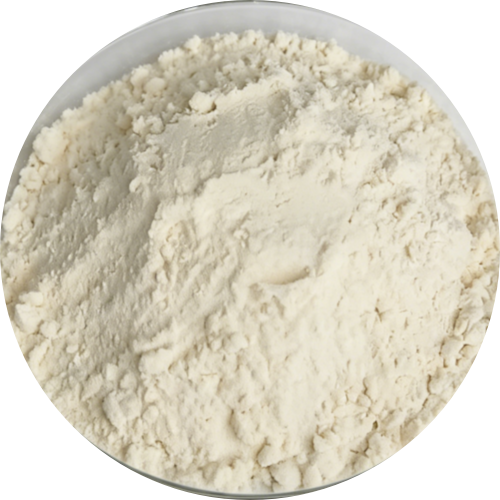 Enzymatic Rice Protein
