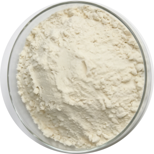 Enzymatic Rice Protein