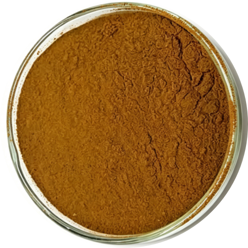Premium Ginseng Extracts – Panax, Siberian & American Ginseng | Custom Potency (Ginsenosides, Polysaccharides, Eleutherosides)