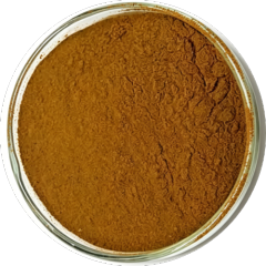Premium Ginseng Extracts – Panax, Siberian & American Ginseng | Custom Potency (Ginsenosides, Polysaccharides, Eleutherosides)