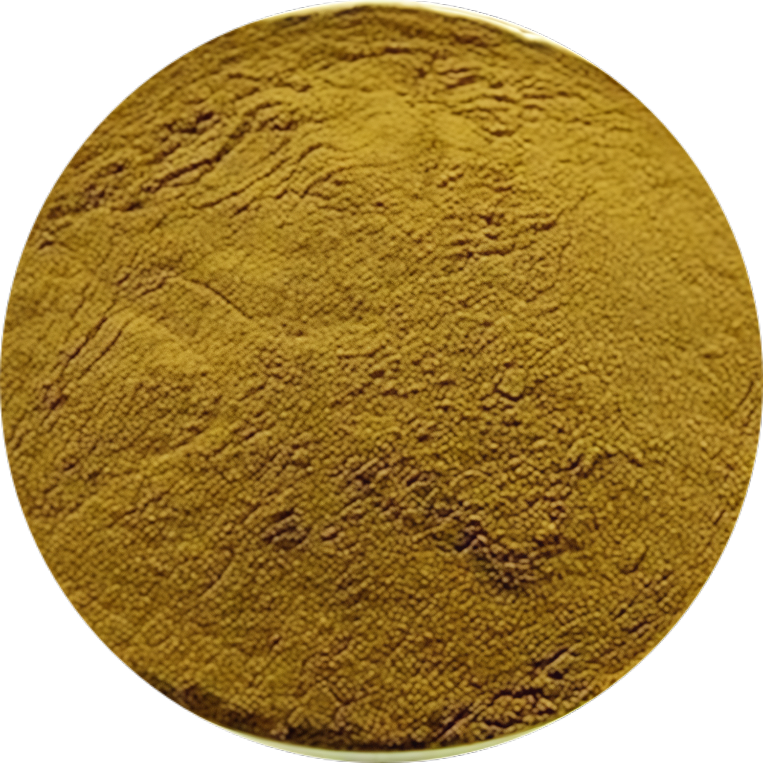 St. John's Wort Extract