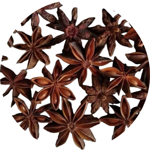 Star Anise