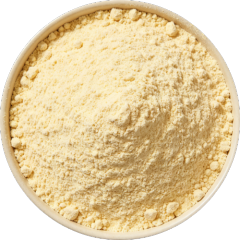 Sunflower Protein