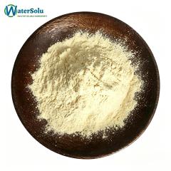 Broccoli Extract Powder 35% Glucoraphenin (HPLC Grade)