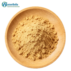 Soybean Phosphatidylserine Powder 50%