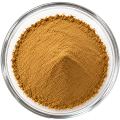 Chaga Extract Polysaccharides 10%–50% / 10:1 / Fruiting Body Powder / Instant Powder