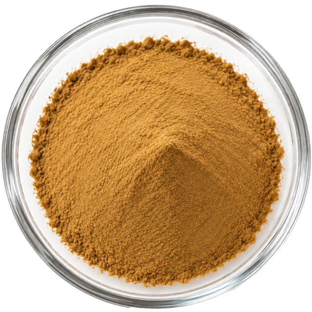 Chaga Extract Polysaccharides 10%–50% / 10:1 / Fruiting Body Powder / Instant Powder