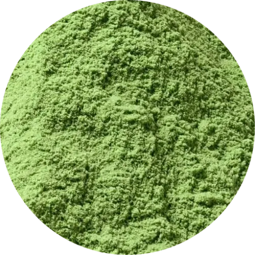 Chlorella Powder / Broken Cell Wall Chlorella Powder