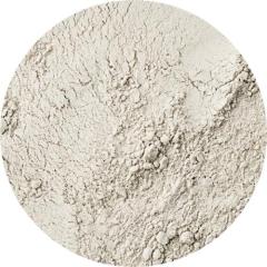 Chlorella Extract Powder (CGF - Chlorella Growth Factor)