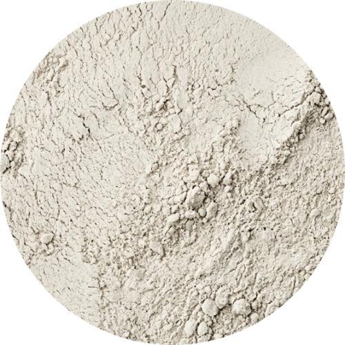 Chlorella Extract Powder (CGF - Chlorella Growth Factor)
