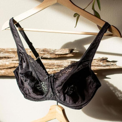 Hot Plus Size Sexy Fancy Women Plus Size Bras Lingerie Panty Bra Set Underwear
