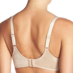 Wholesale Women's Plus Size Underwear Set Classic Printing Ladies Push Up Bra And Panties