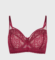 Custom Logo Hot Sale Comfort Lace Ladies Lingerie Set Women's Underwear Sexy Plus Size Lingeries
