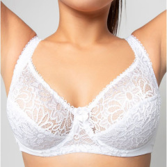 Lace Breathable Thin Lace Underwear Plus Size Bra Busty Lingerie Woman Wholesale Big Cup Womens Sexy Underwear