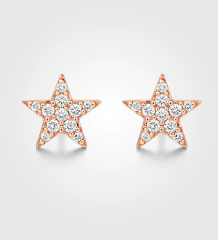 Star Shape Earrings Studs