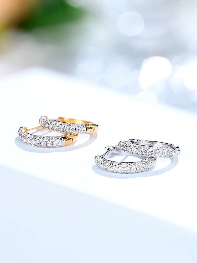 Bi-Color Hoop Earrings