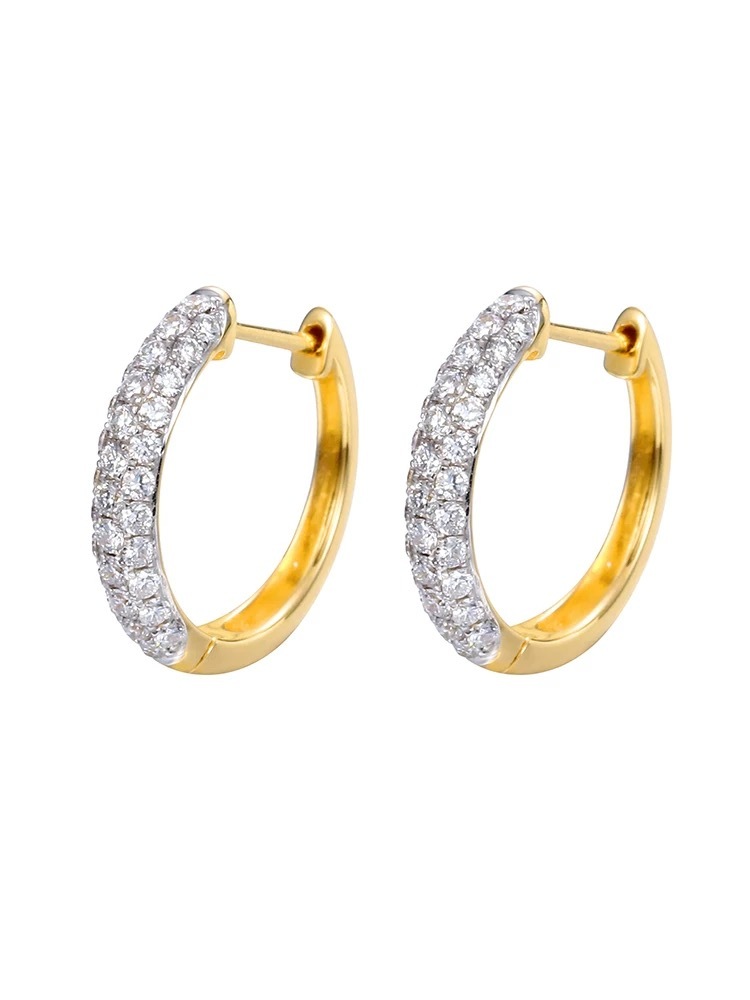 Bi-Color Hoop Earrings