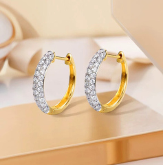 Bi-Color Hoop Earrings