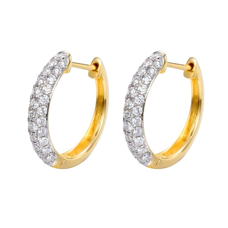 Bi-Color Hoop Earrings