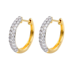 Bi-Color Hoop Earrings