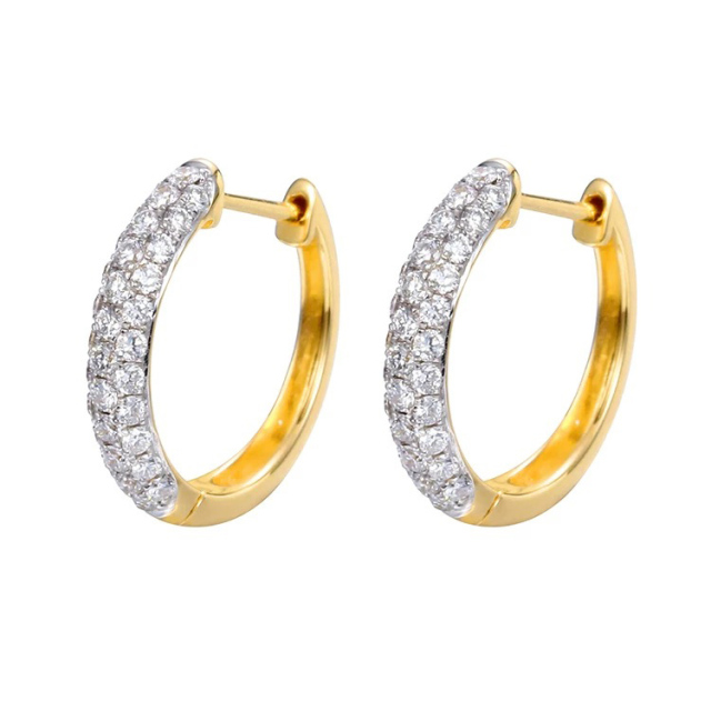 Bi-Color Hoop Earrings