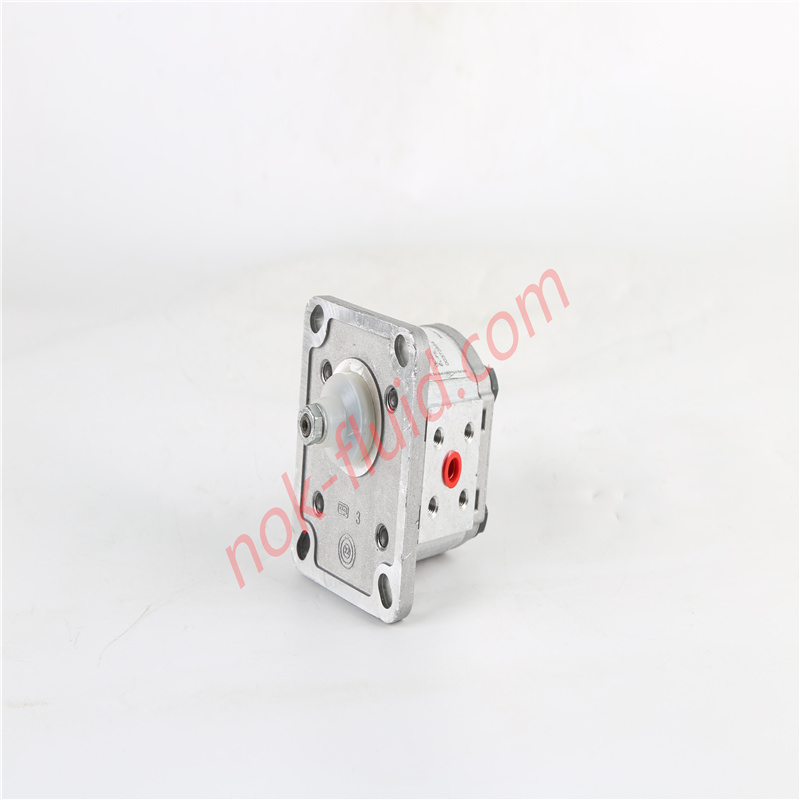 CASAPPA  GEAR PUMP PLP10.2D0-81E1-LBB/BA-N-EL-FS 00372854