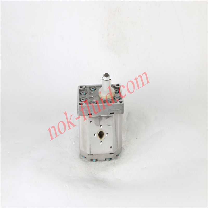 BONDIOLI GEAR PUMP HPLPT341DW2E7E5B01