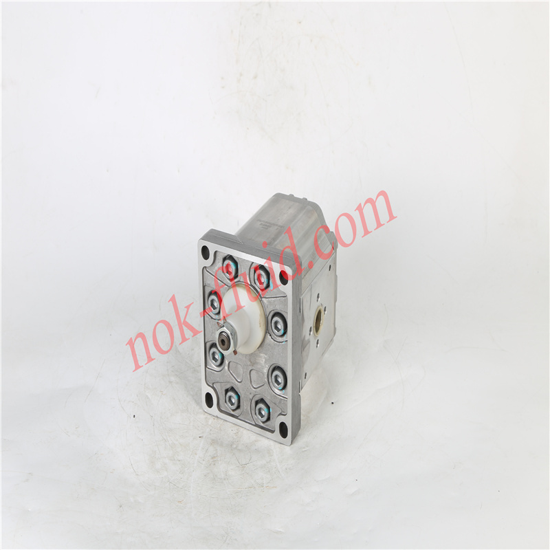 BONDIOLI GEAR PUMP HPLPT341DW2E7E5B01