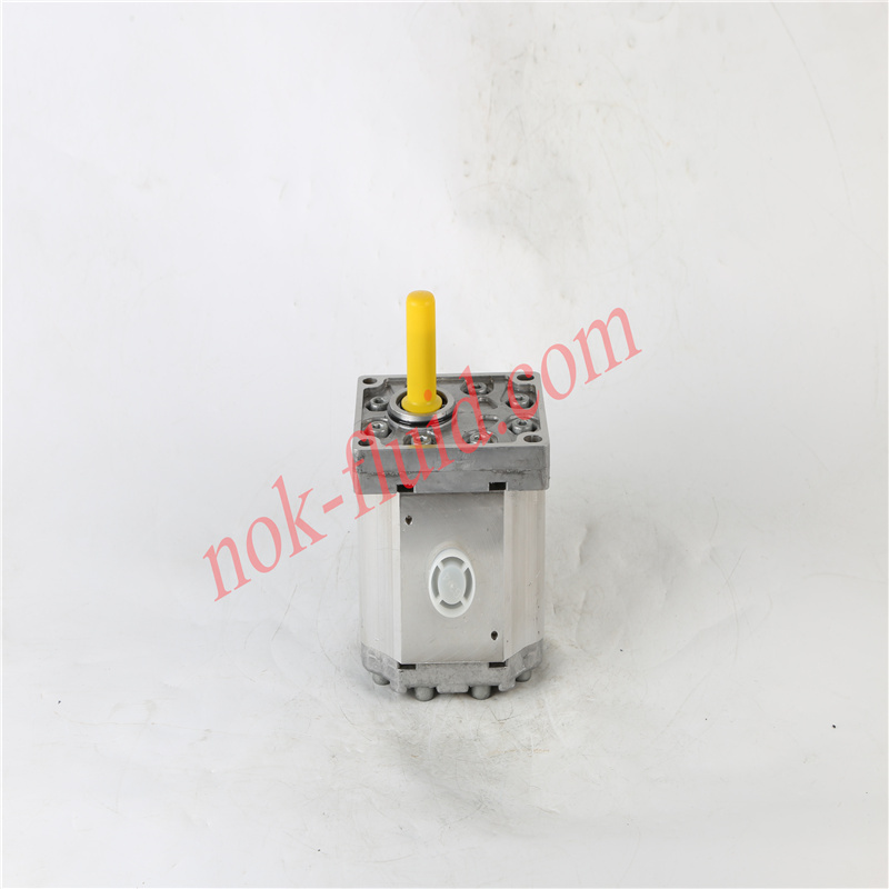 BONDIOLI GEAR PUMP HPLPA341SW4G7G6BHY