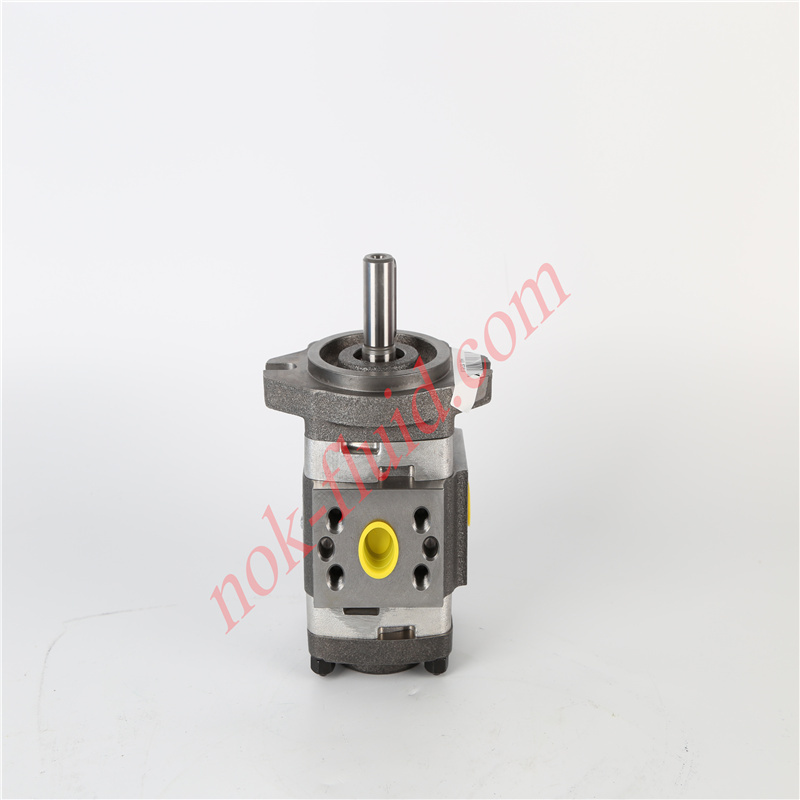 VOITH GEAR PUMP IPV3-8-101 H68.539510