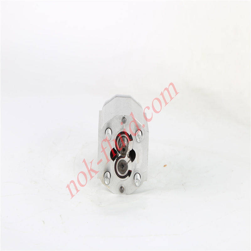 BUCHER GEAR PUMP AP100/6.5S309