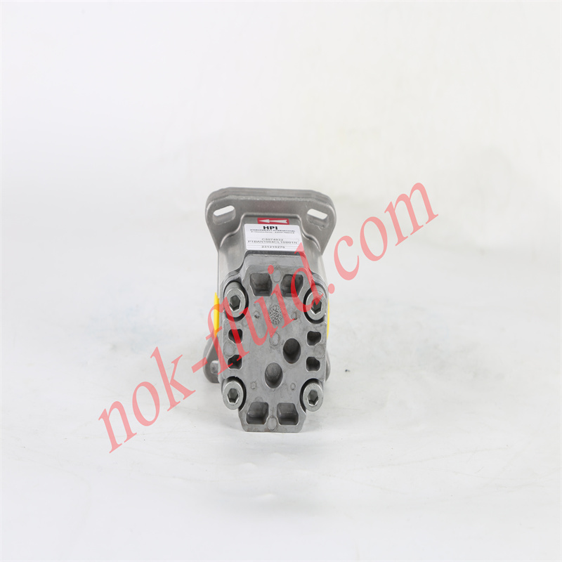 HPI GEAR PUMP P1BAN1004CL10B01N