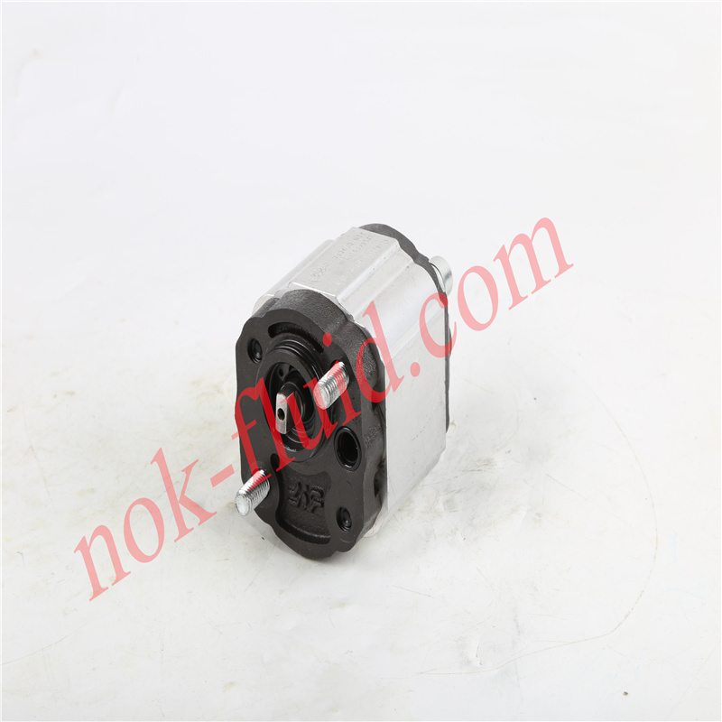 Brevini Gear Pump BFP10032DSAF