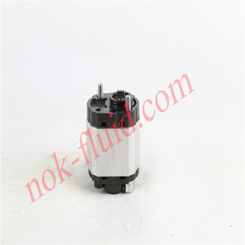 Brevini Gear Pump BFP10032DSAF