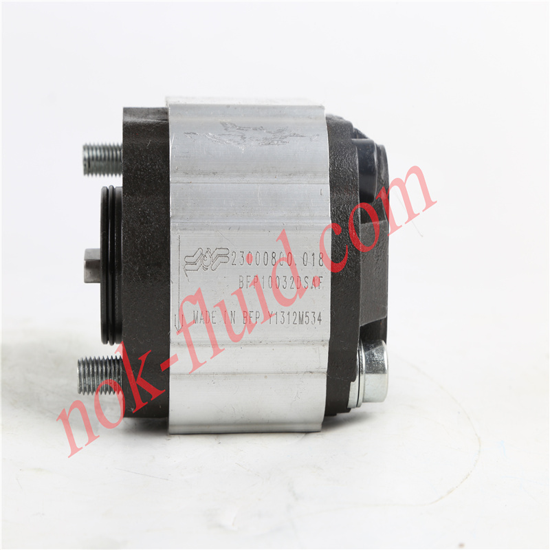Brevini Gear Pump BFP10032DSAF